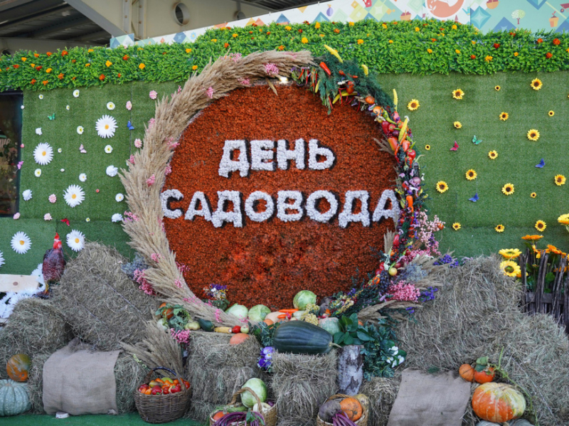 Выставка садоводческой продукции и выступления звезд татарской эстрады: в столице РТ пройдет «День садовода – 2025»