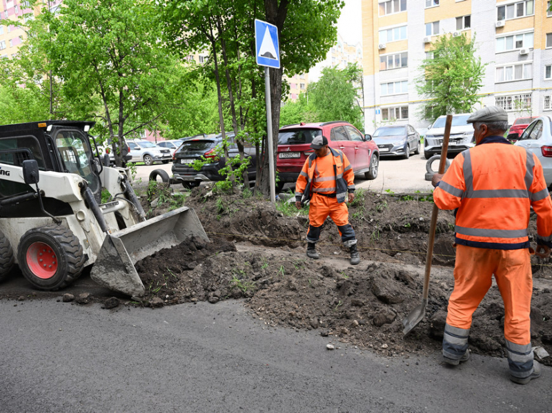 В Казани до конца года проложат 11 километров велодорожек